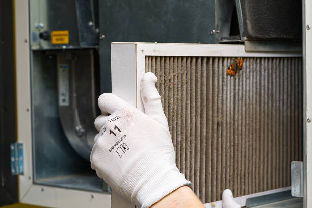 Air Duct Mold Removal in Huntland, TN