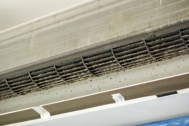 Best Affordable Duct Cleaning Services  in Huntland, TN